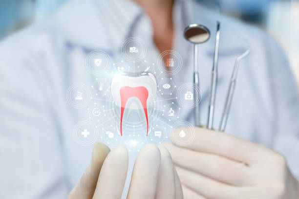 Trusted Bunk Foss, WA Holistic Dental Care Services Experts