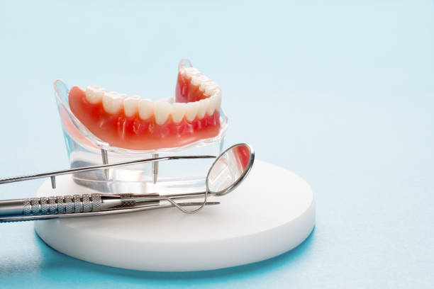 Trusted Bunk Foss, WA Holistic Dental Care Services Experts